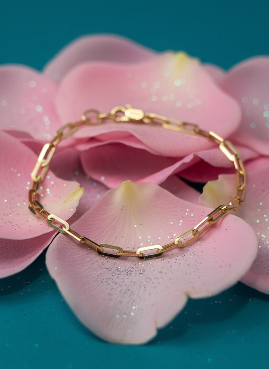 Set de Joyería Paperclip - Oro 10K